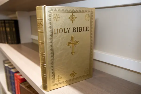 A stack of foil-stamped Bibles on a shelf, showing the detailed spines.
