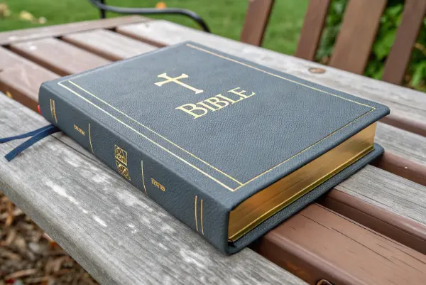 Children's bible production line showing durable covers